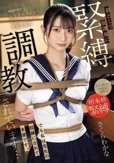 先生を好きになり告白してしまった不純な私は罰として放課後に緊縛調教されています…でも私は先生の奴●になれて本望です。 さくらわかな